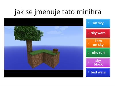 minecraft test