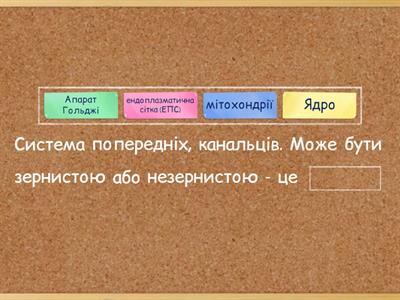 Виберіть слово