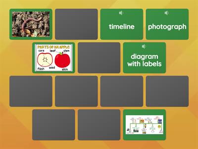 Nonfiction Text Features