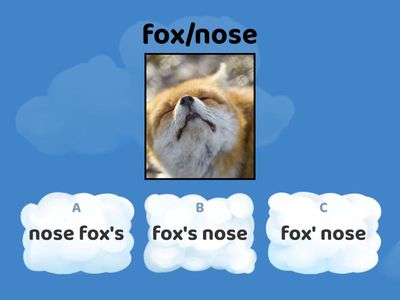 59 Possessive Spotlight 5 / Forward 3