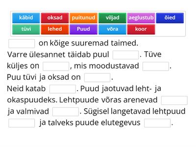 Puud - 2.klassi loodusõpetus