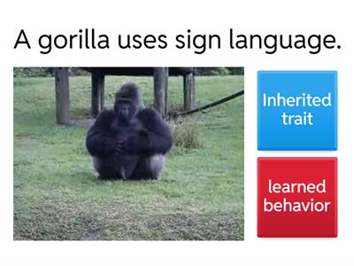 Inherited Traits or Learned Behaviors (Simple Quiz)