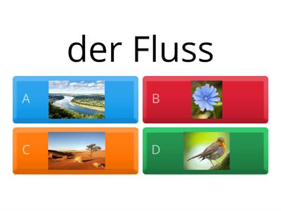 Die Natur und die Landschaften