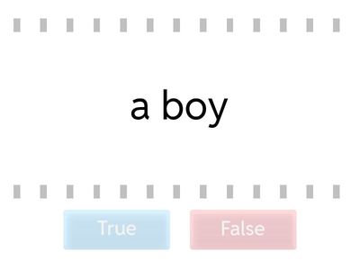 a/an with nouns and adjectives