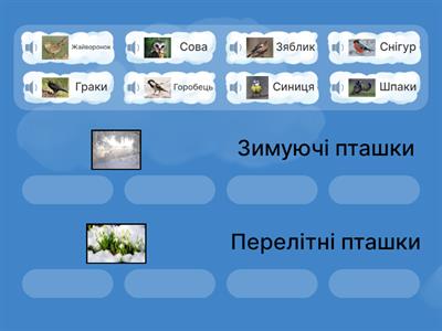 Мандрівники на крилах