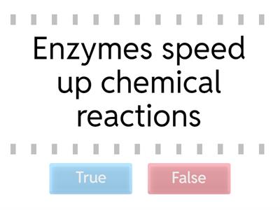 Enzymes (True or False)