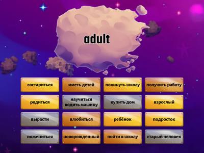 Комарова 7 Unit 7 