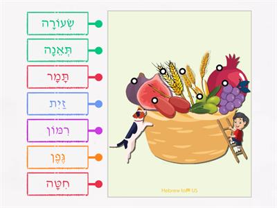 Tu Bishvat - Match The 7 Species 