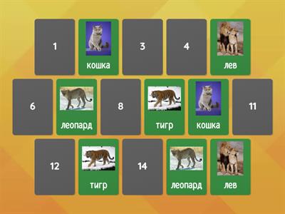 это все кошки