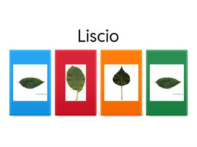 Margine delle foglie