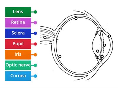 Y9 Label the eye diagram