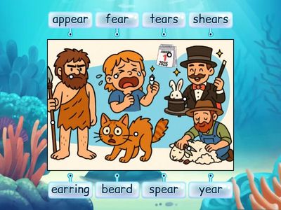 Label the Diagram ear