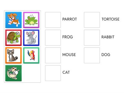 REVISION - 2ND GRADE - PIA