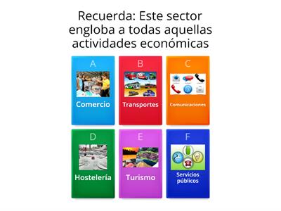 Sector terciario 👩‍🏫