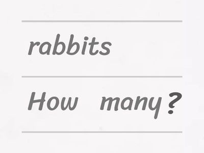 Go for it! 3 kpl 5 lauseet