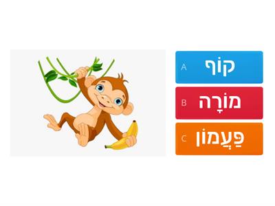 חולם