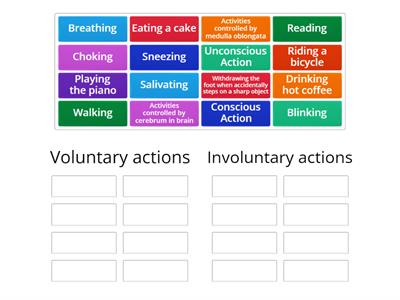 Voluntary and Involuntary Actions