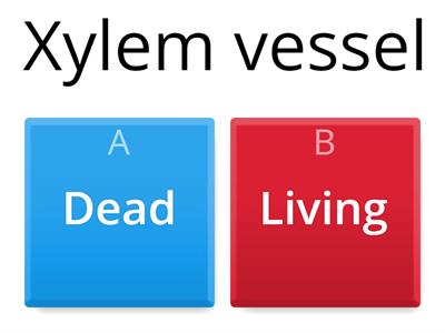 Dead or alive - plants