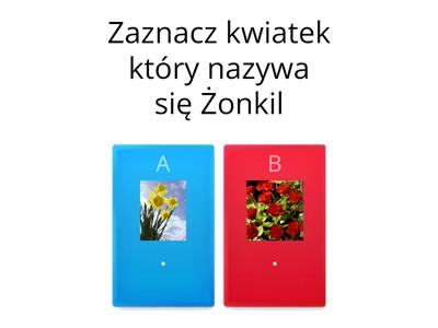 Przyroda (kwiaty,rośliny i drzewa)