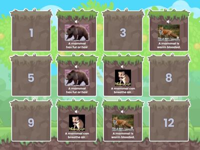 Matching Mammals