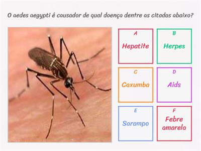 Doenças causadas por vírus, bactérias e protozoários 