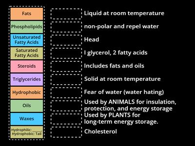 “Water, I Love and Hate U”