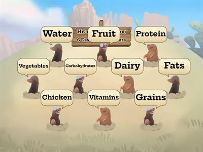 AK Name the 6 Essential Nutrients