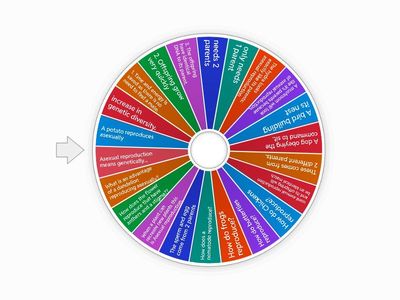  Asexual and sexual reproduction spin the wheel word wall 3