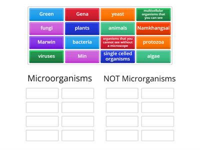 Y7 KS3 7.1 Microorganisms Card Sort