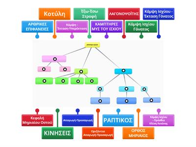 Άρθρωση του Ισχίου (Στυλιαννέλη Θεοφανεία)