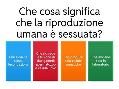 L'apparato riproduttore