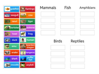 Sorting Animals