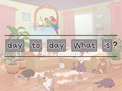 What day is today? 句子排列