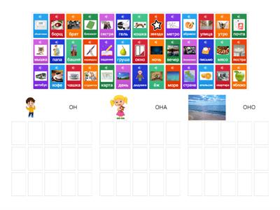 Род существительных.