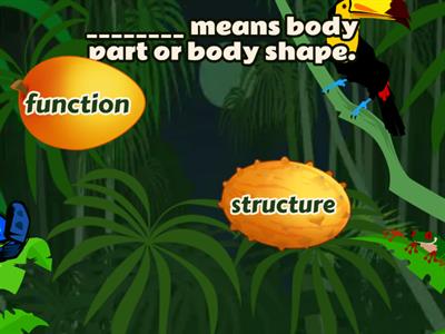 Writing Prompt 19: Structure & Function