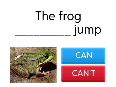 CAN AND CANT- ANIMALS