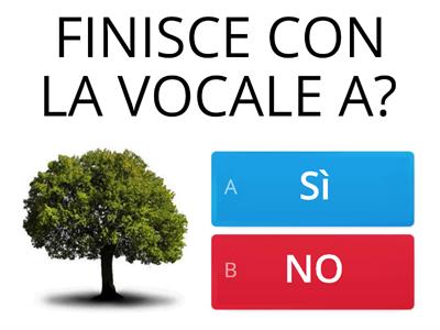 FINISCE CON LA VOCALE A