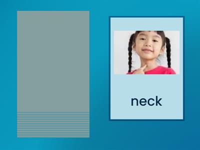 Pre Kindergarten Body Parts