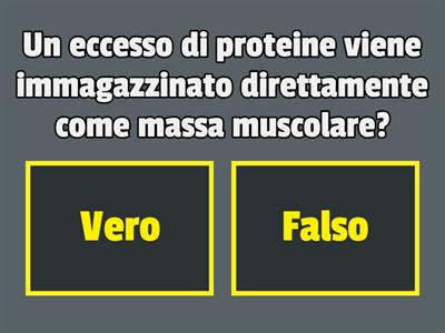  Macronutrienti: carboidrati, proteine, lipidi