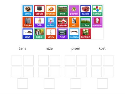 Vzory rodu ženského