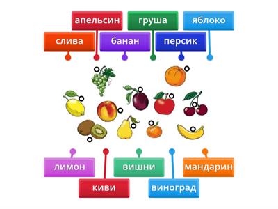 Фрукты   6 класс