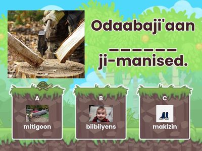 Awegonen dinowaa wezhi'oomagak enaabajitood ji-ozhichiged?