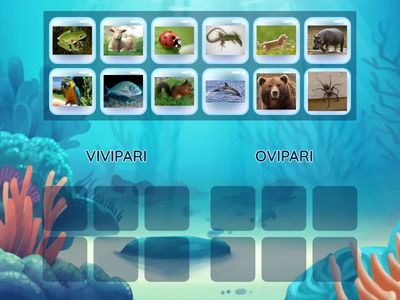 COME NASCONO GLI ANIMALI