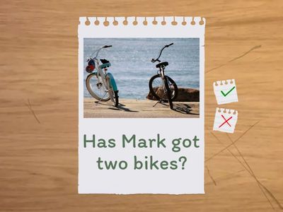 Have got \ Has got (short answers) #3