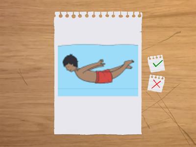 4º primaria Sports present simple and negative