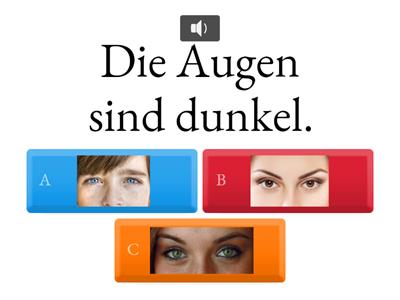 das Aussehen