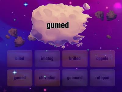 Silent E 2-Syllable Words