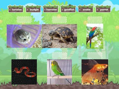 3 класс Unit 4 part1