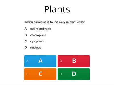 Eukaryote and Prokaryote cells