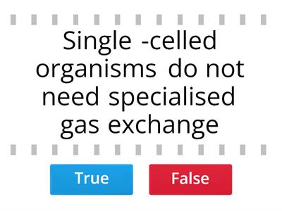 Exchange 1 - True or False? 